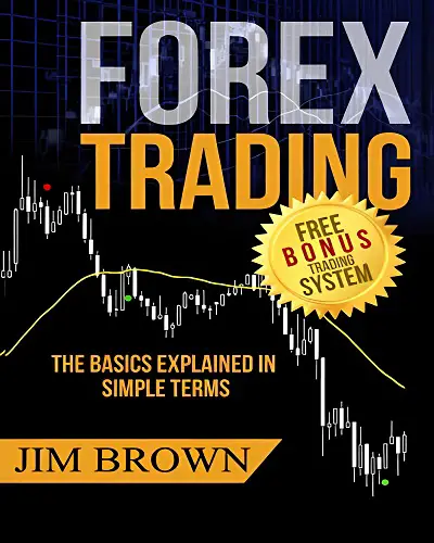 Should I Invest In Forex Or Stocks? (Top 5 Secret on Stock, Forex Trade)